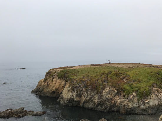 california coast