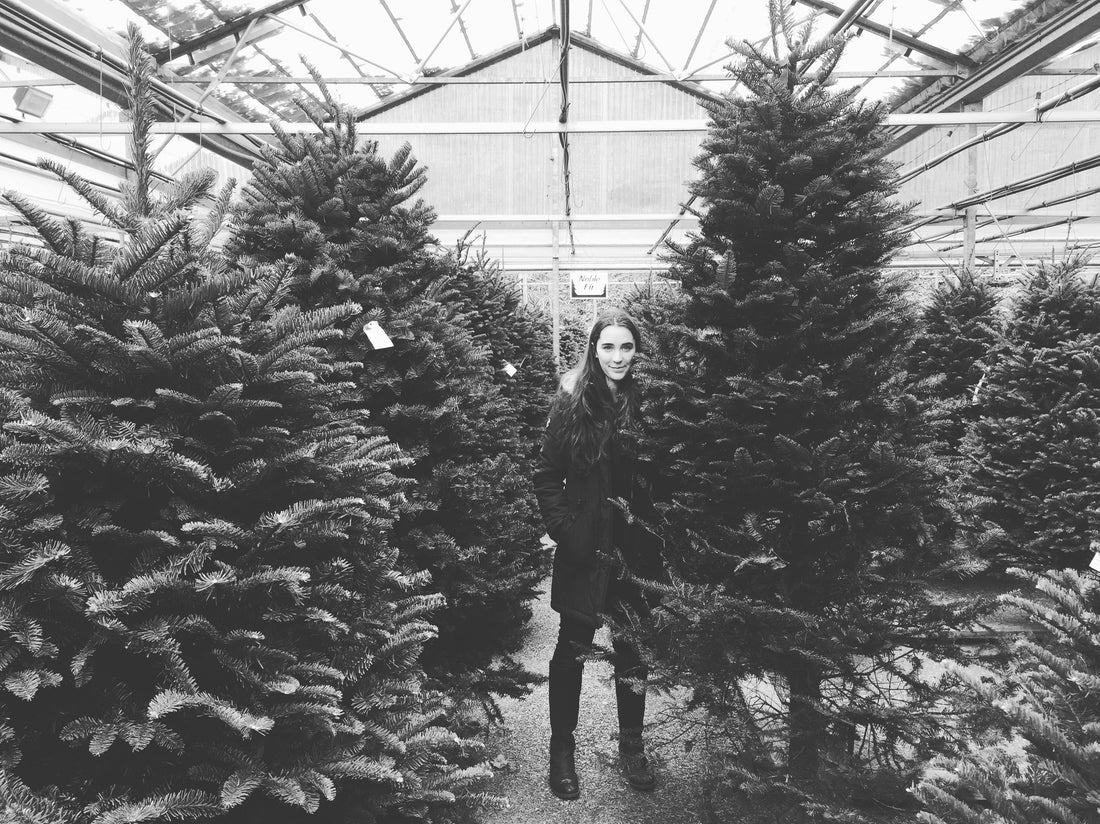 trees